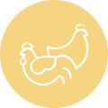 专门从事肉类生产的家禽养殖场